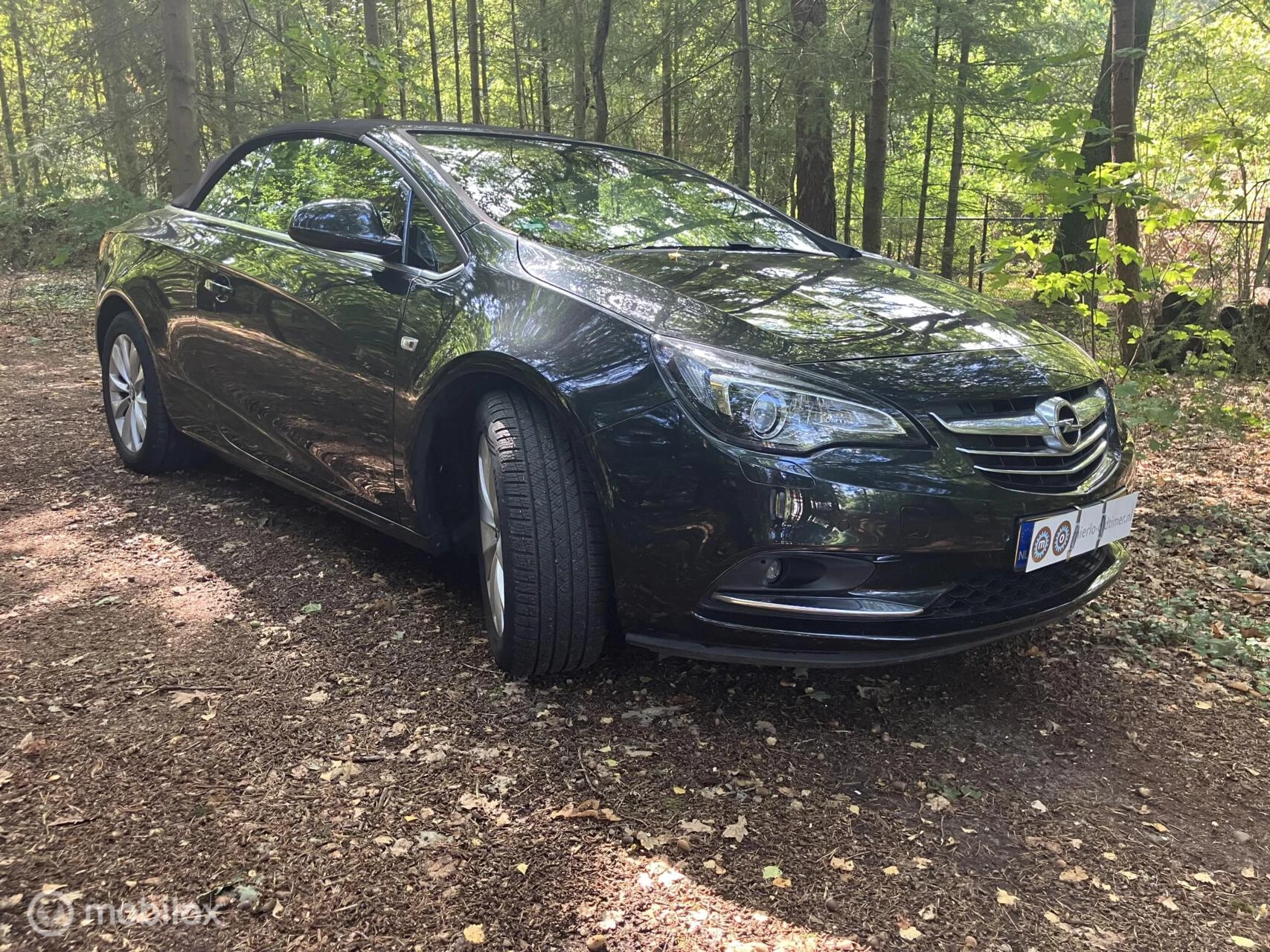 Hoofdafbeelding Opel Cascada