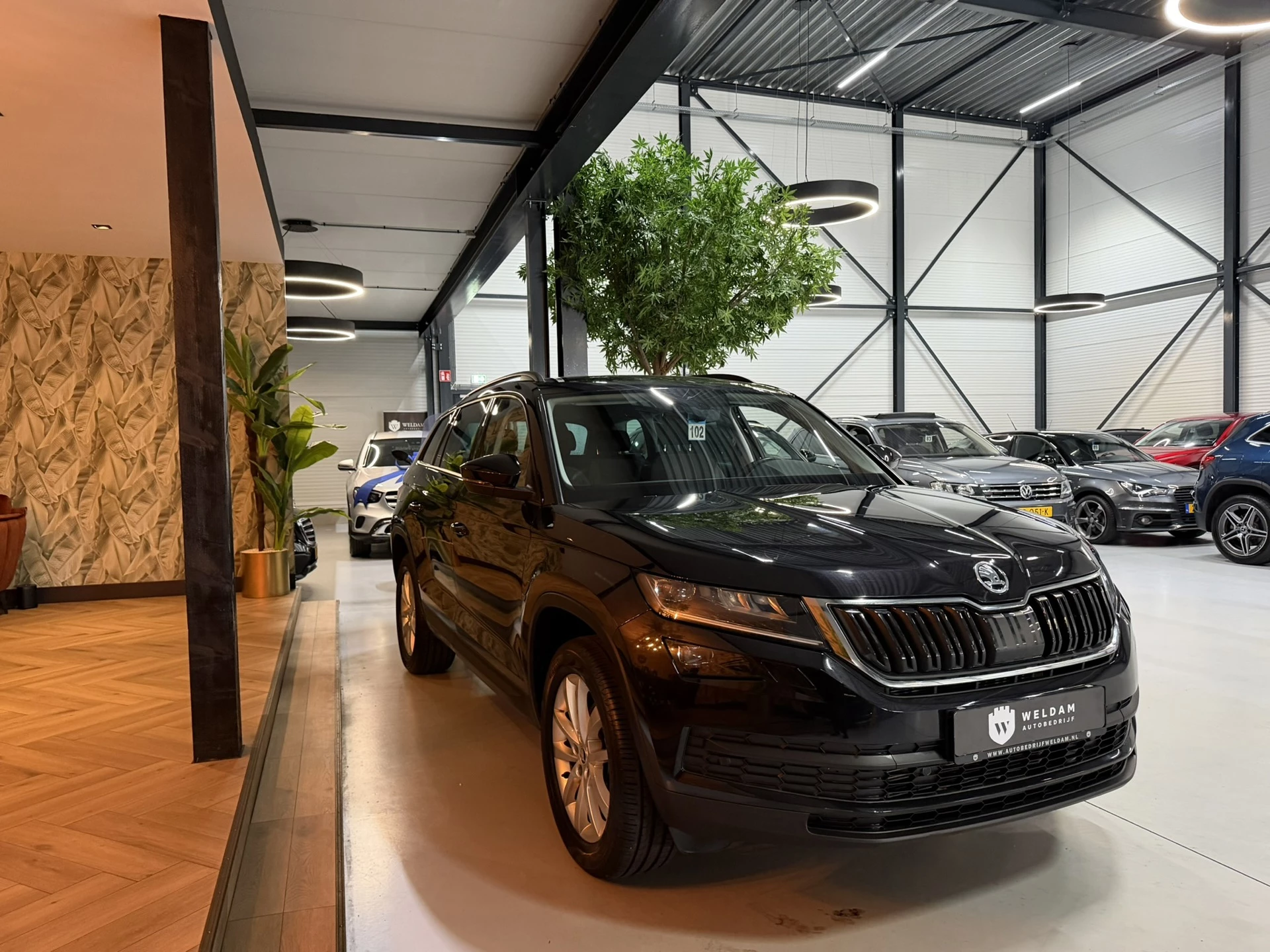 Hoofdafbeelding Škoda Kodiaq