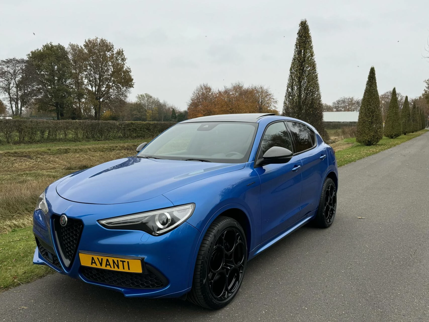 Hoofdafbeelding Alfa Romeo Stelvio