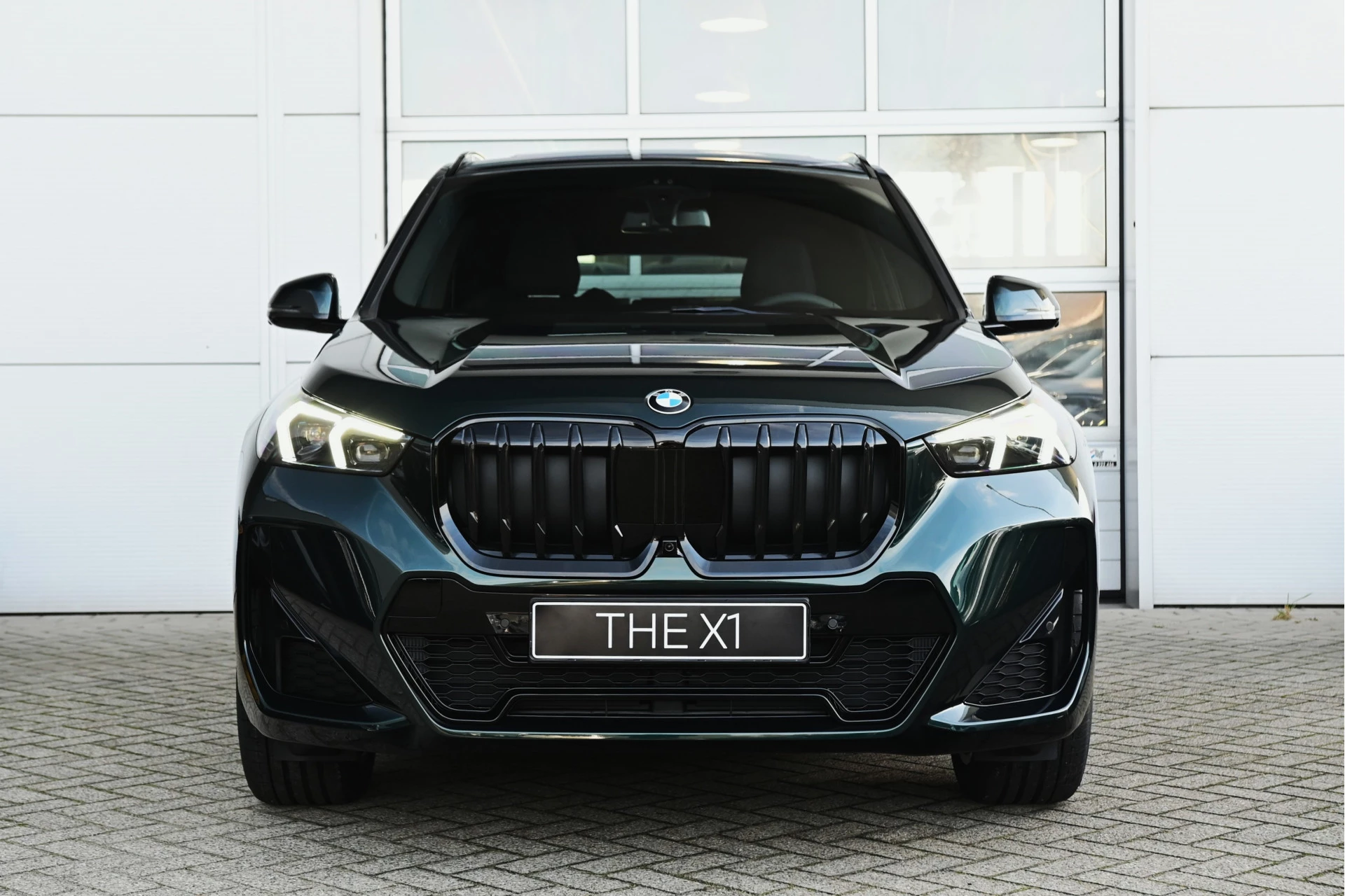 Hoofdafbeelding BMW X1