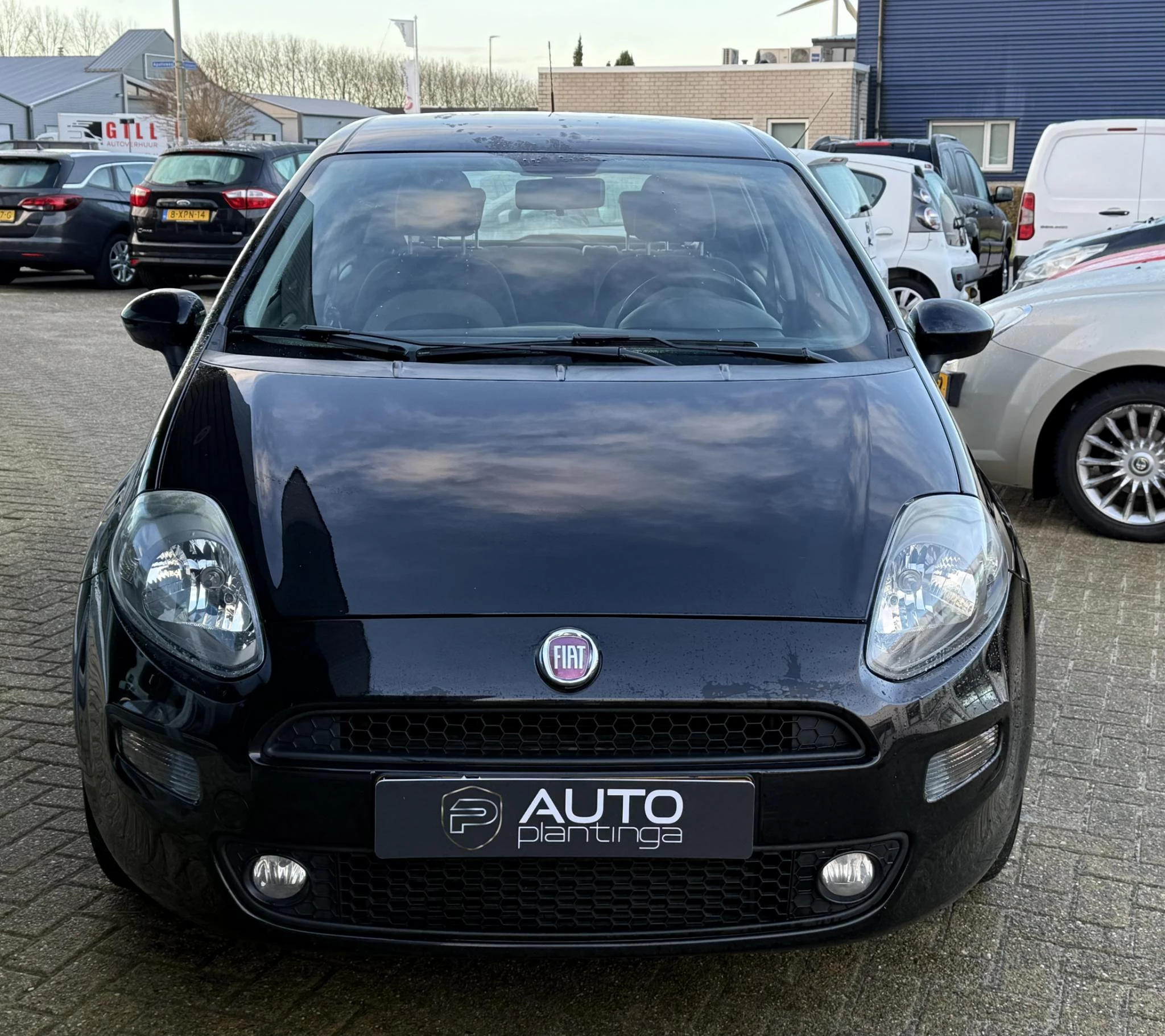 Hoofdafbeelding Fiat Punto