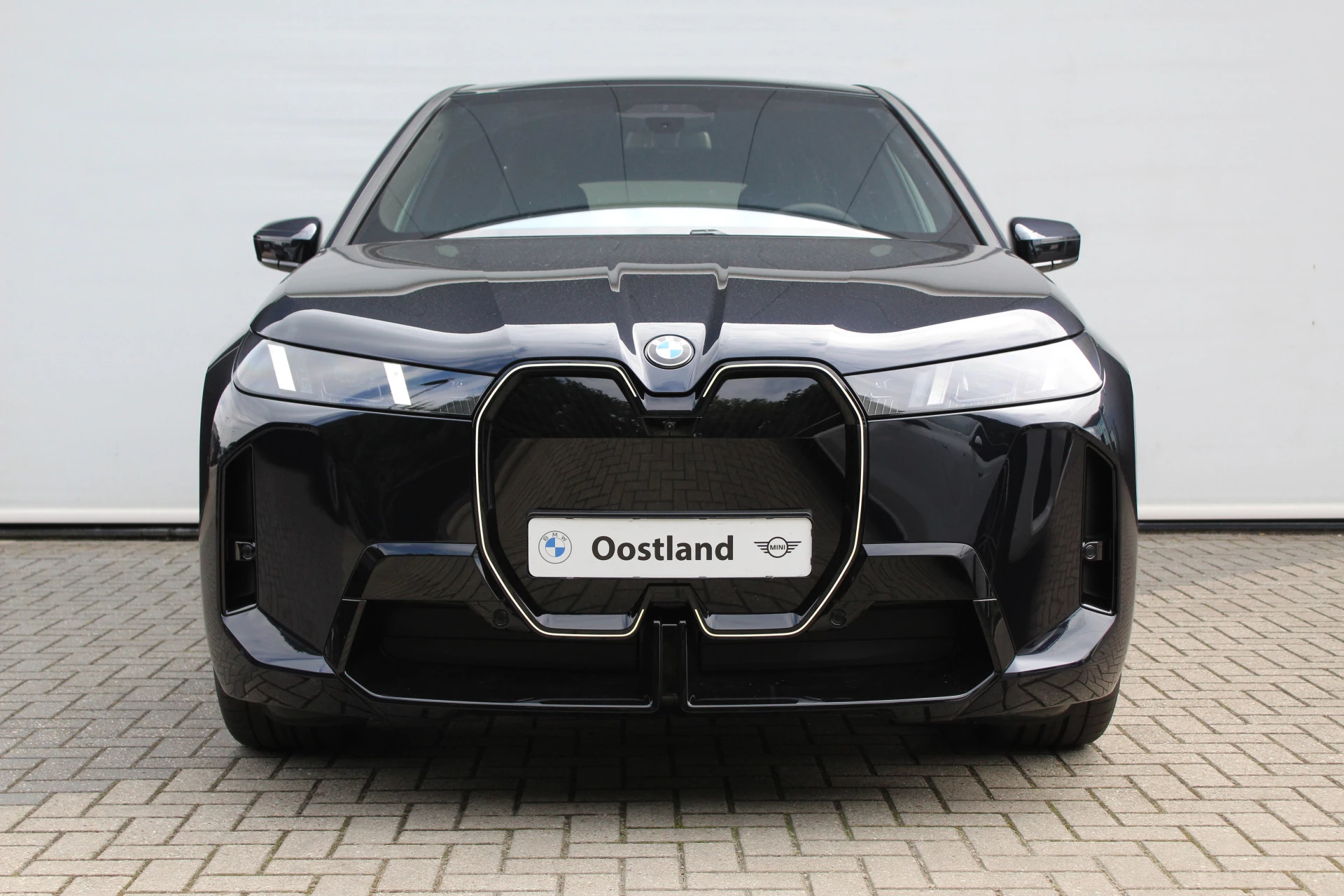 Hoofdafbeelding BMW iX