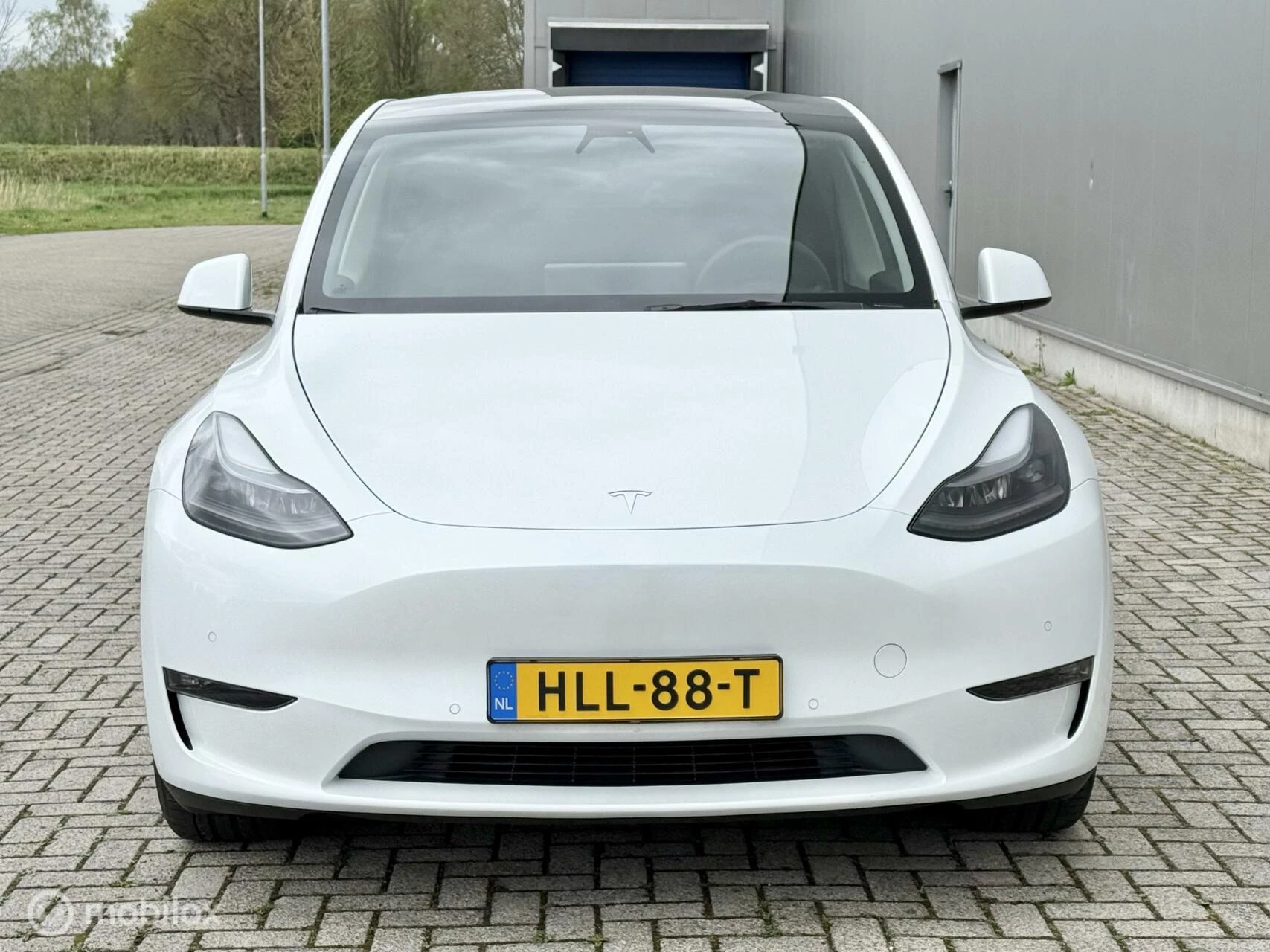 Hoofdafbeelding Tesla Model Y