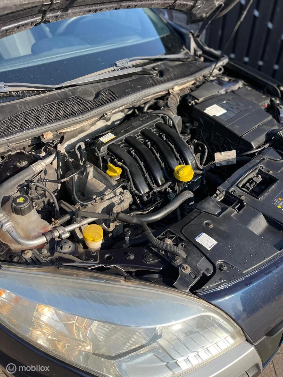 Hoofdafbeelding Renault Mégane