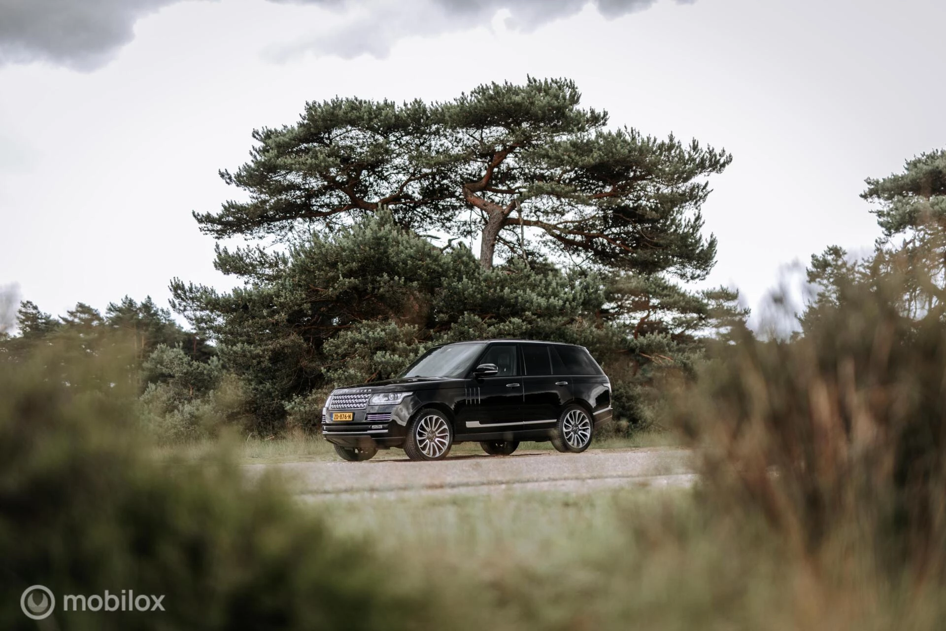 Hoofdafbeelding Land Rover Range Rover