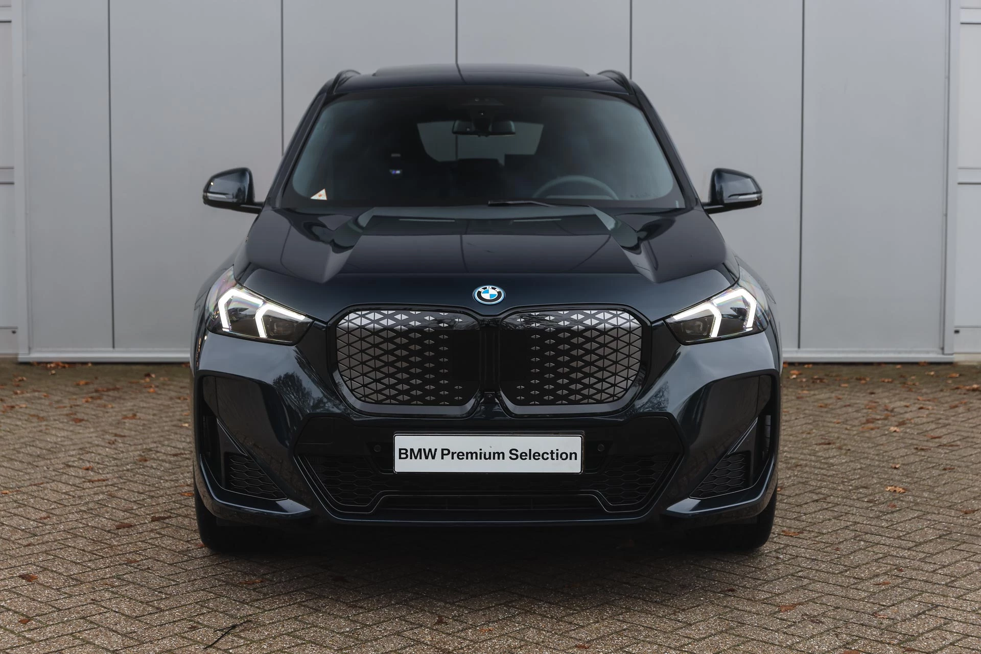 Hoofdafbeelding BMW iX1