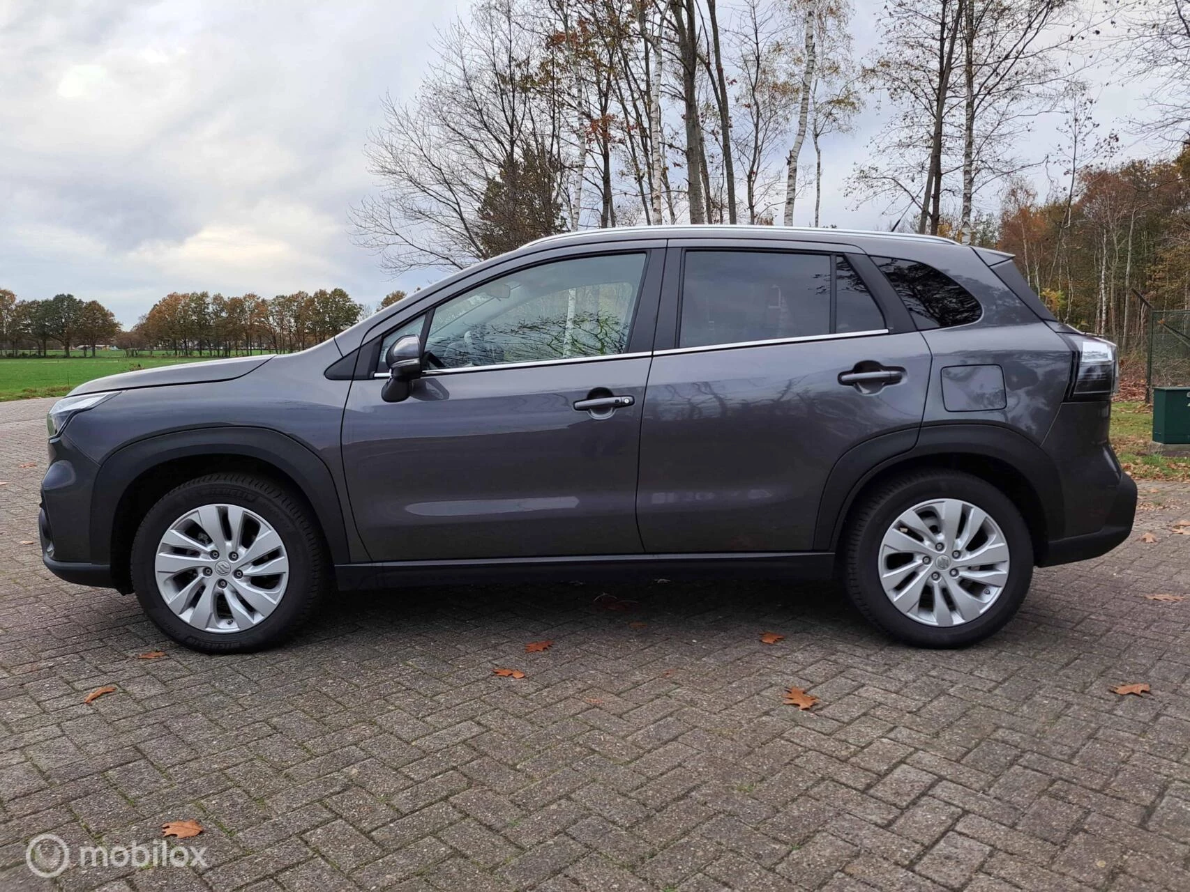 Hoofdafbeelding Suzuki S-Cross