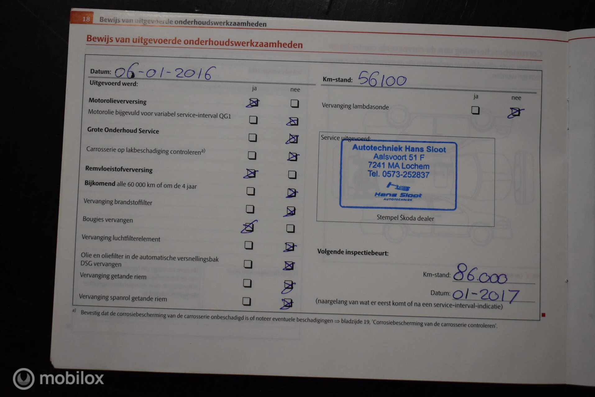 Hoofdafbeelding Škoda Octavia