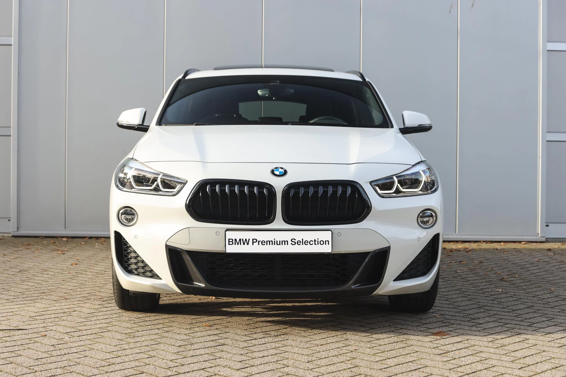 Hoofdafbeelding BMW X2