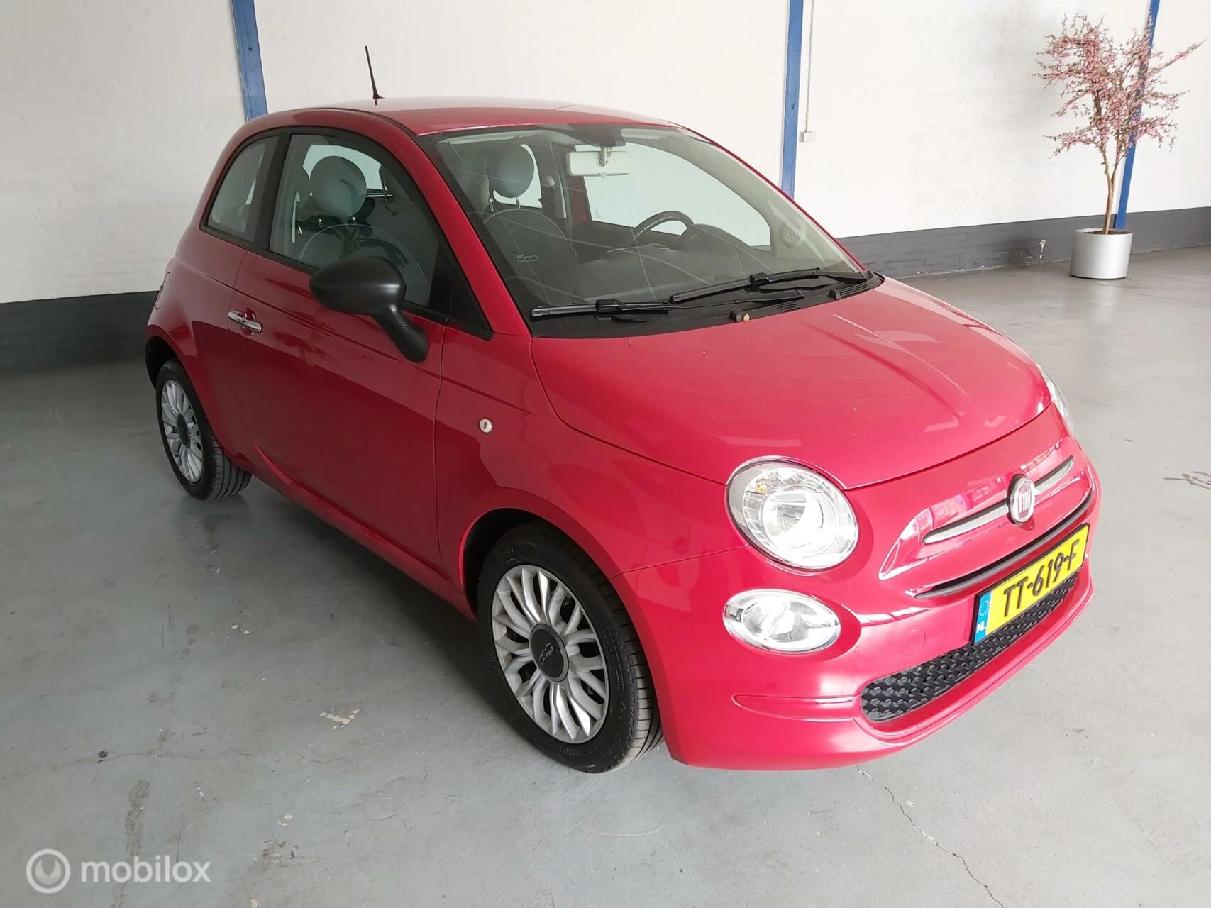 Hoofdafbeelding Fiat 500