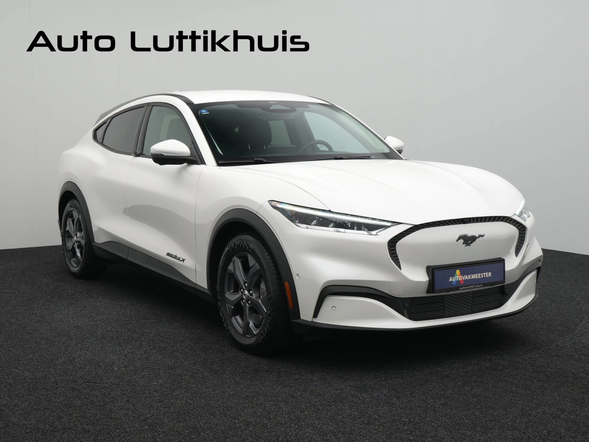 Hoofdafbeelding Ford Mustang Mach-E