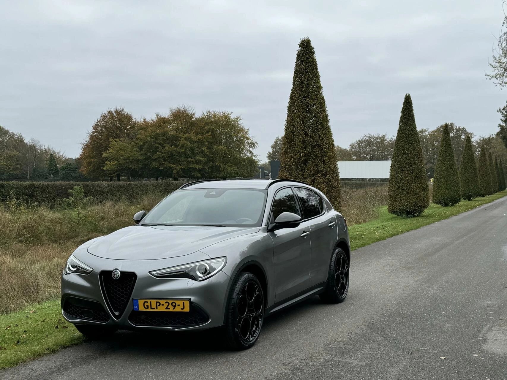 Hoofdafbeelding Alfa Romeo Stelvio