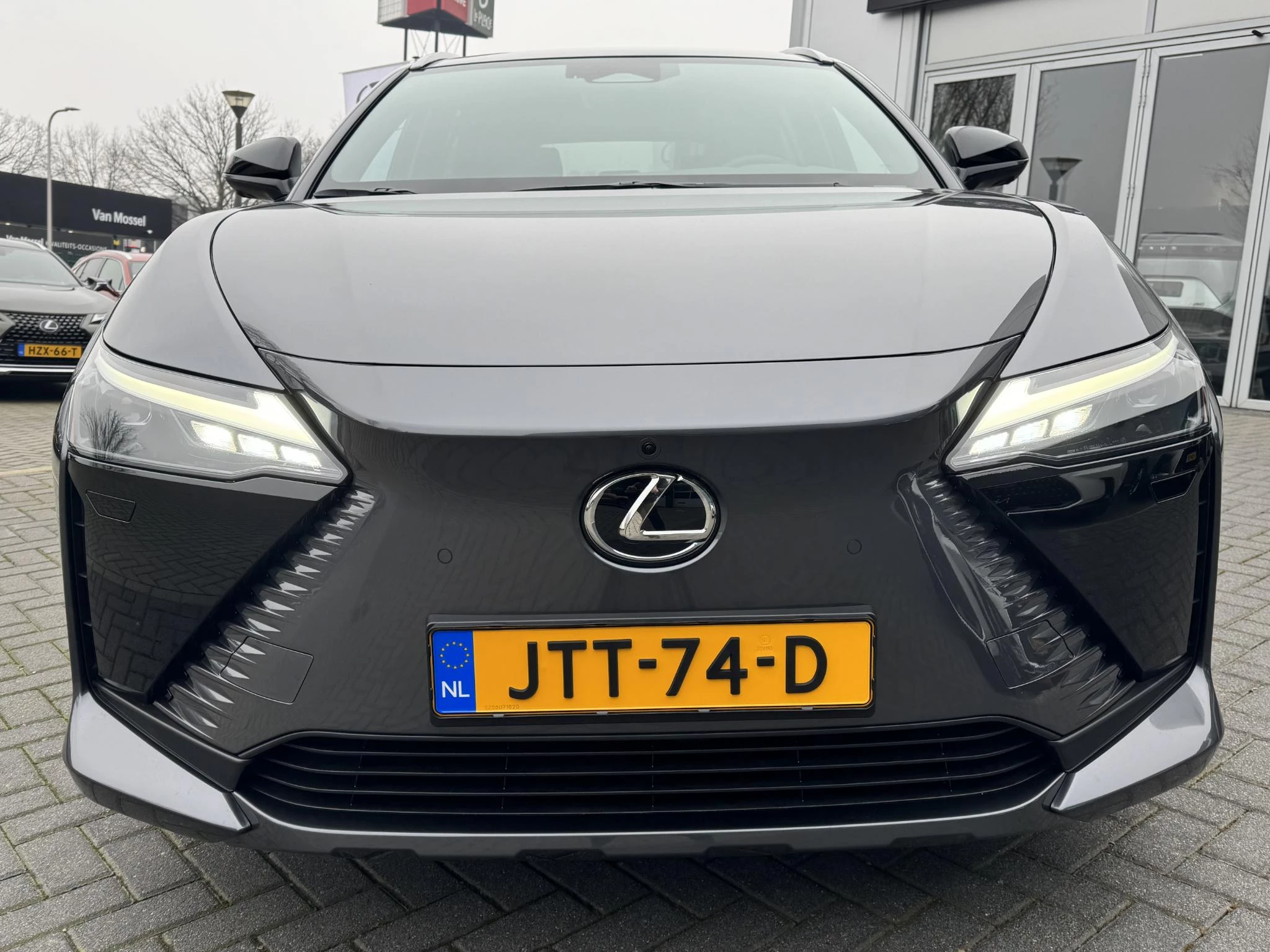Hoofdafbeelding Lexus RZ