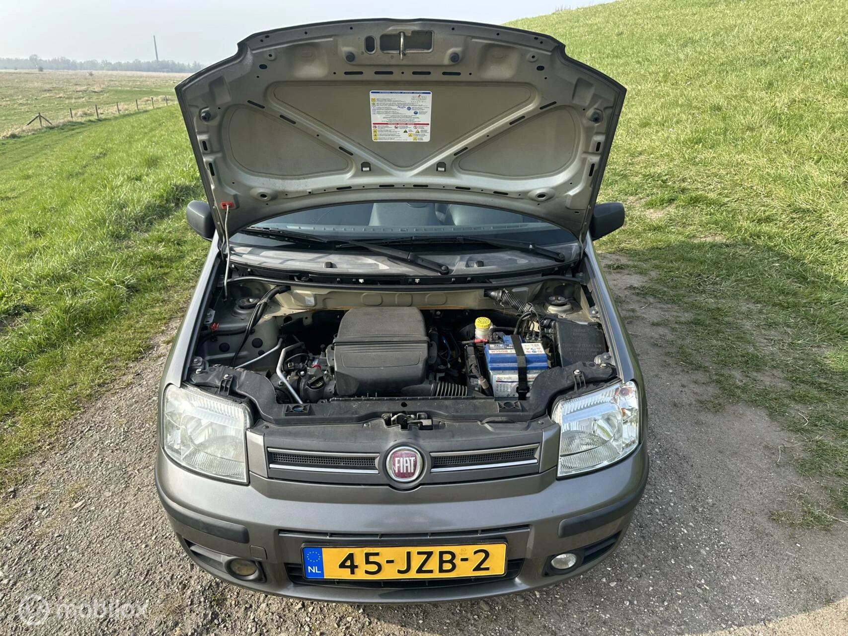 Hoofdafbeelding Fiat Panda