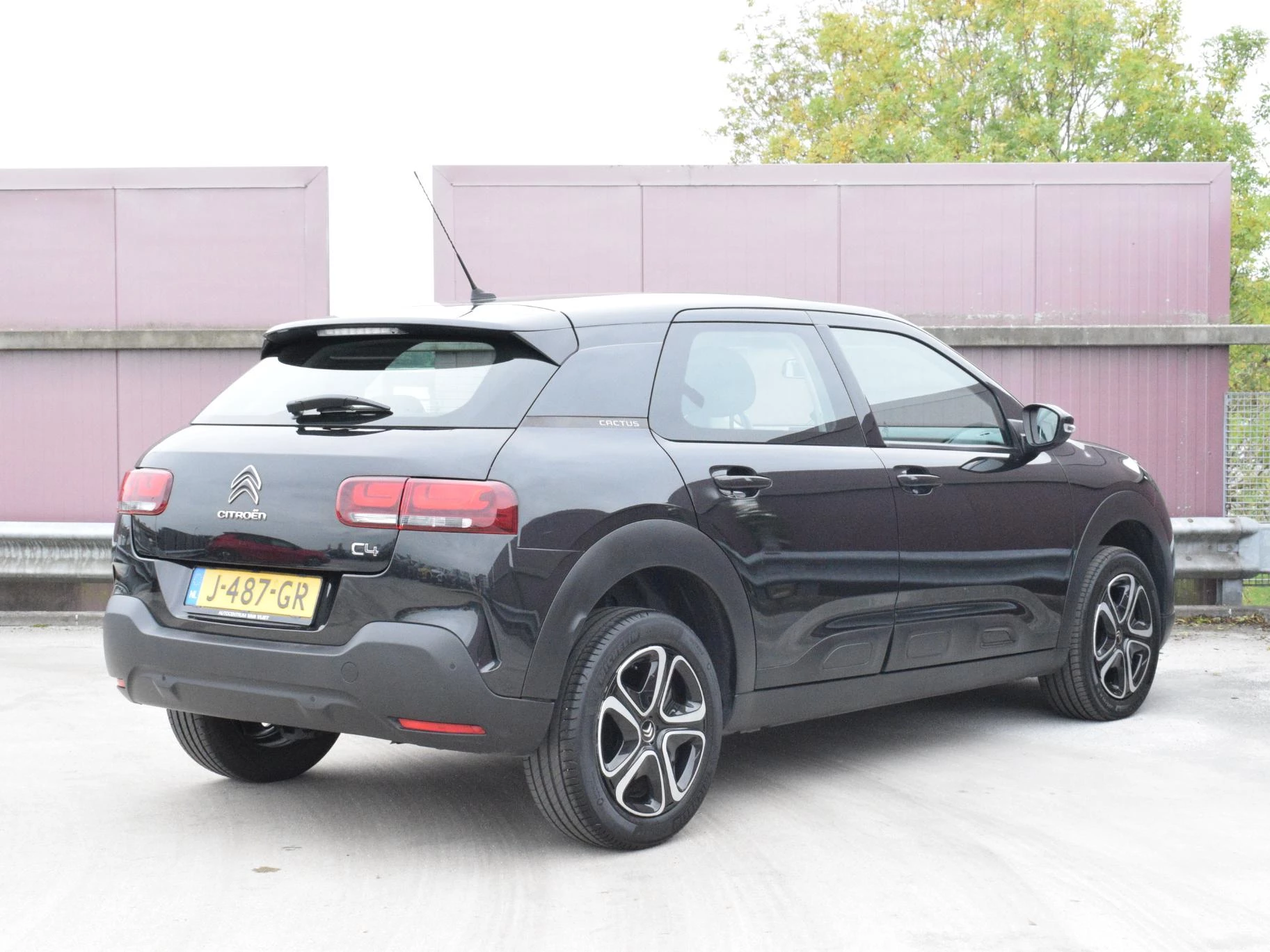 Hoofdafbeelding Citroën C4 Cactus