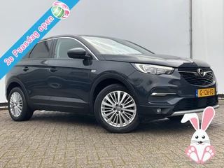 Opel Grandland X 1.2 Turbo Innovation Aut8 Navi Camera DAB Hoge zit