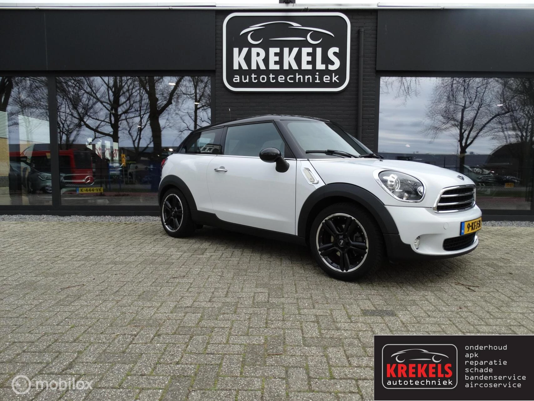 Hoofdafbeelding MINI Paceman