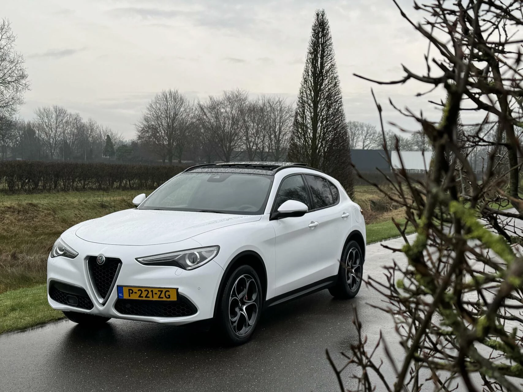 Hoofdafbeelding Alfa Romeo Stelvio