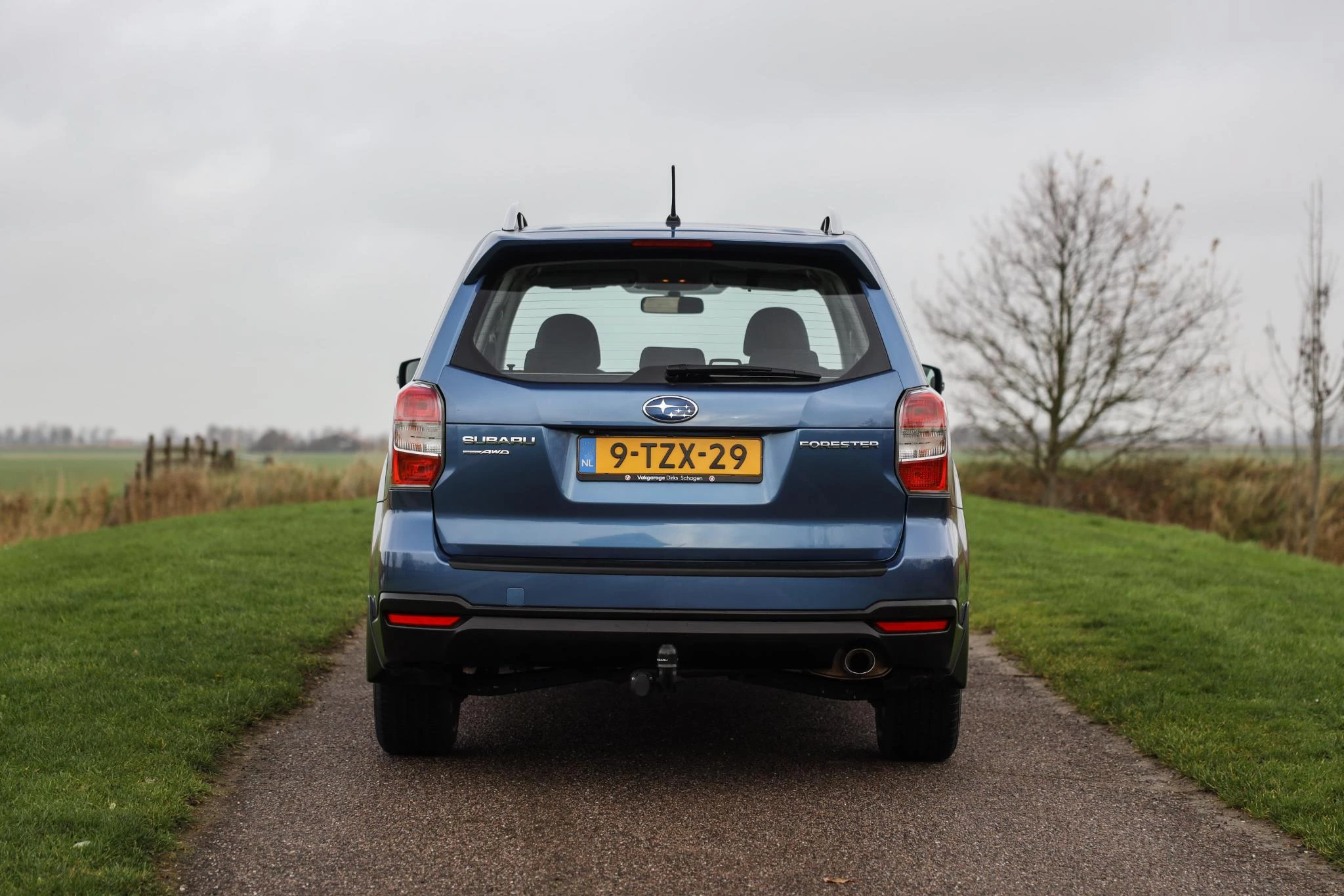 Hoofdafbeelding Subaru Forester