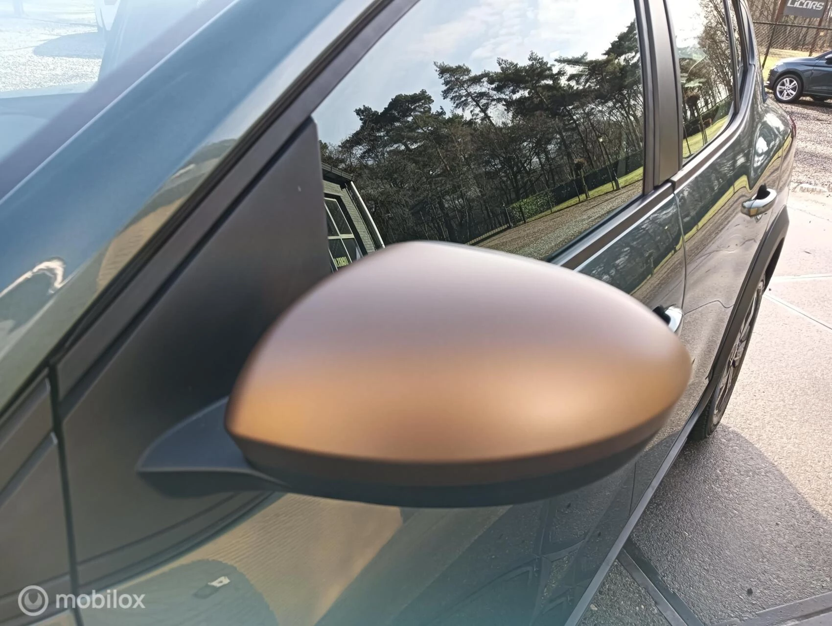 Hoofdafbeelding Dacia Sandero Stepway