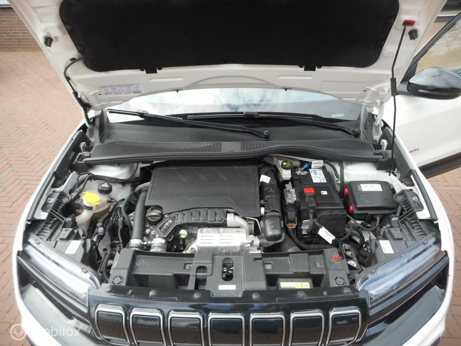Hoofdafbeelding Jeep Avenger