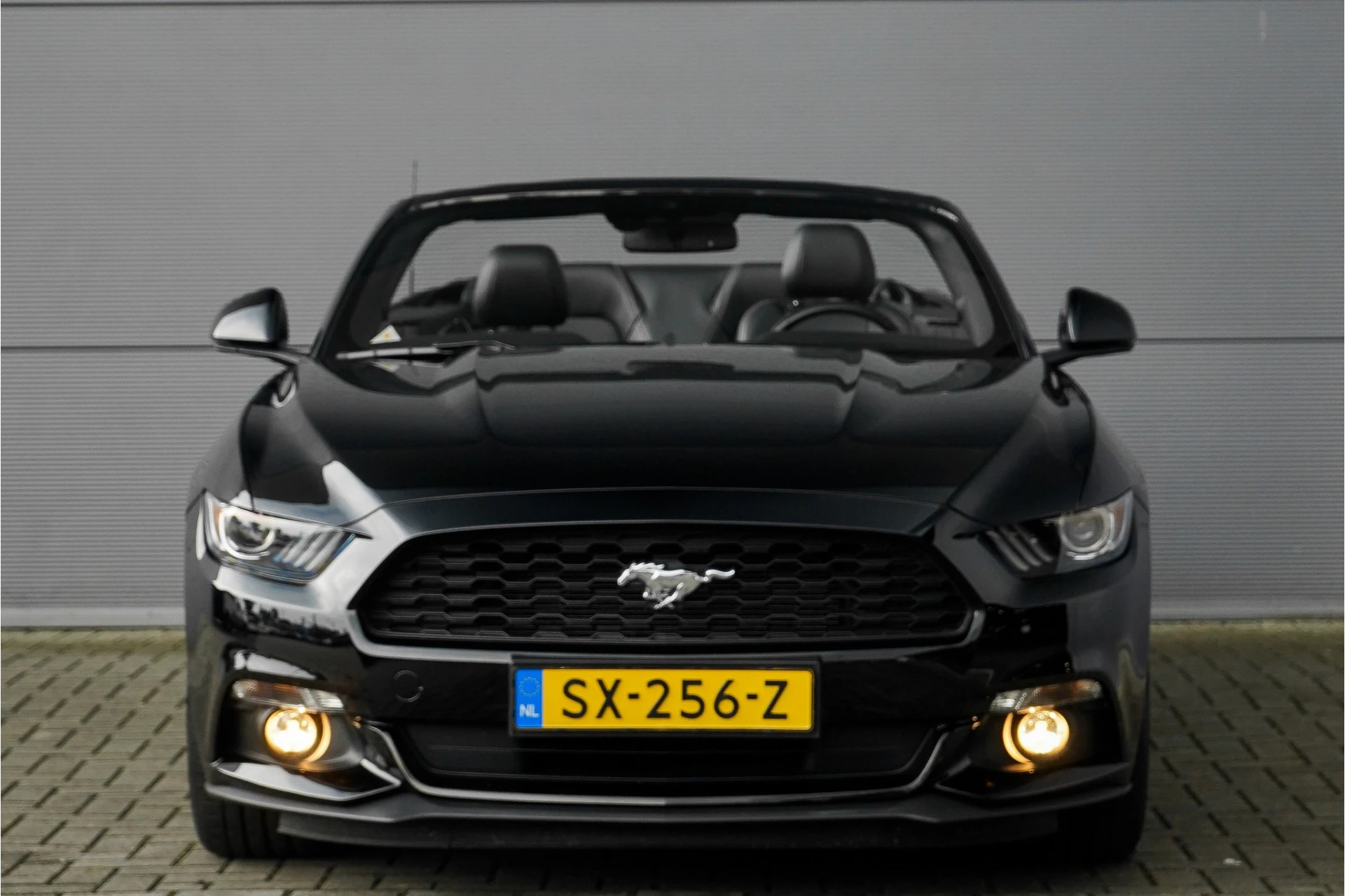 Hoofdafbeelding Ford Mustang