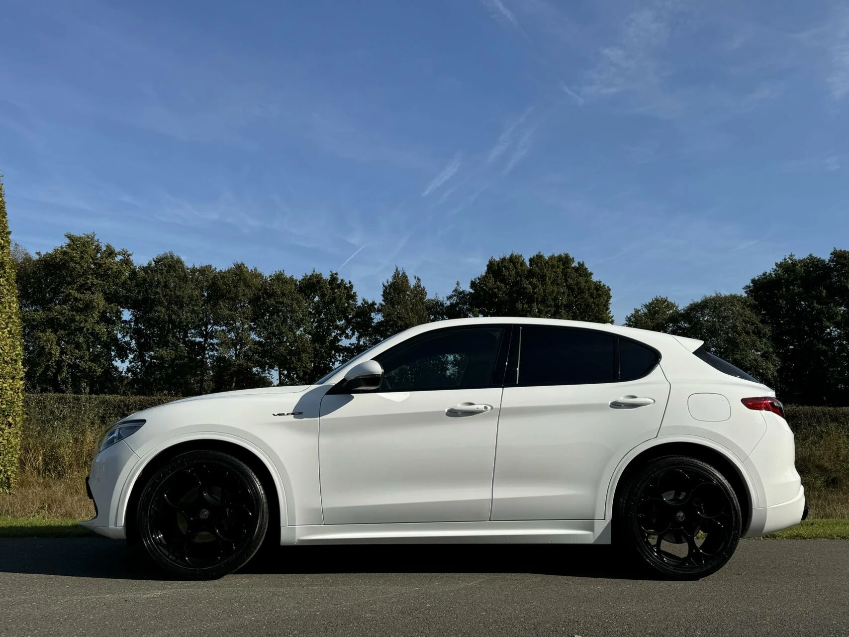 Hoofdafbeelding Alfa Romeo Stelvio