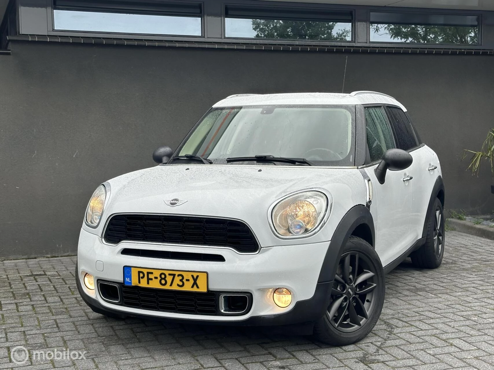 Hoofdafbeelding MINI Countryman