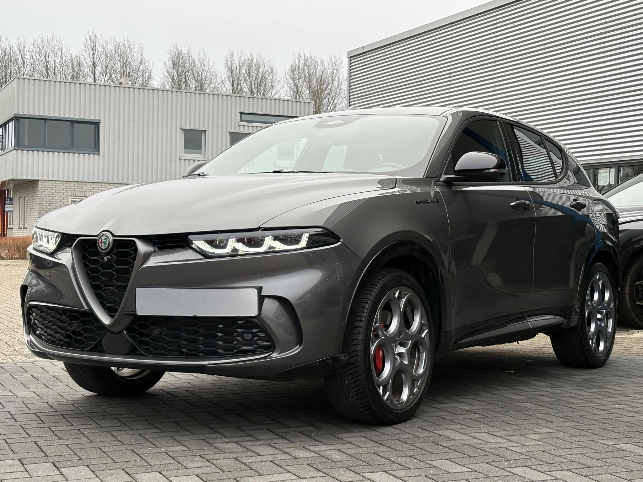 Hoofdafbeelding Alfa Romeo Tonale