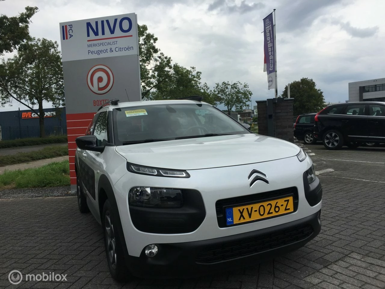 Hoofdafbeelding Citroën C4 Cactus