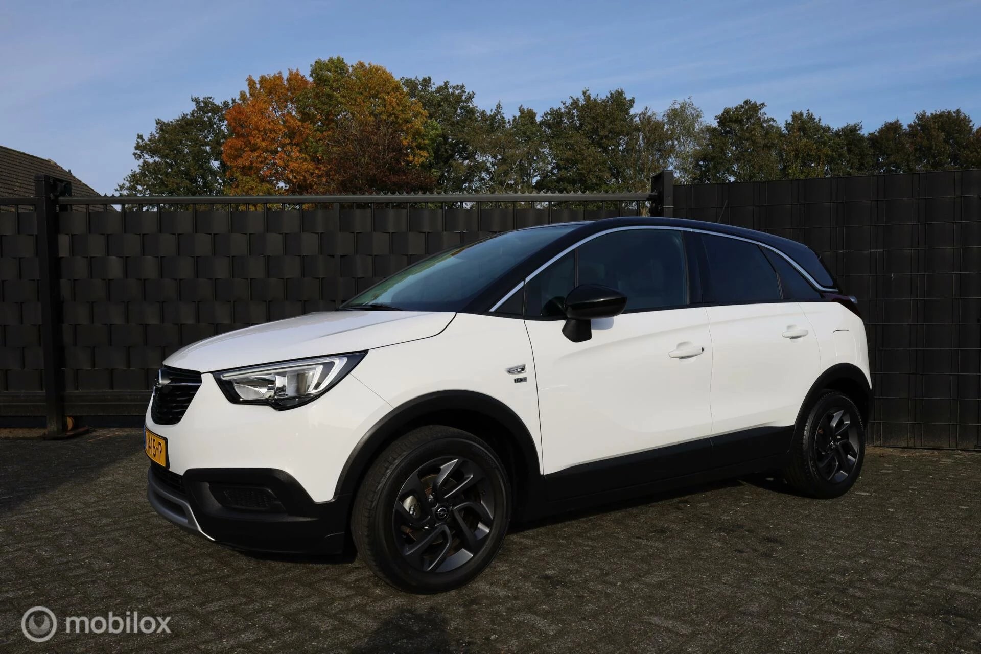 Hoofdafbeelding Opel Crossland X