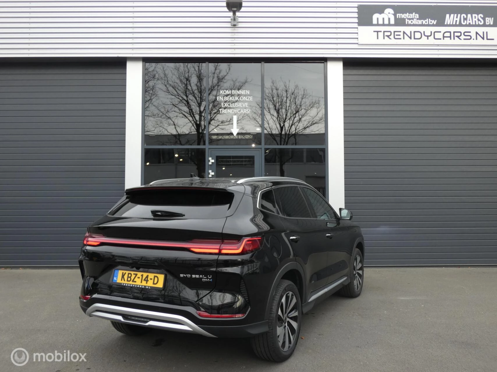 Hoofdafbeelding BYD SEAL U