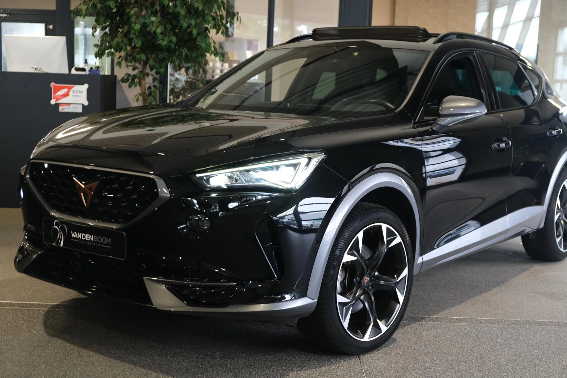 Hoofdafbeelding CUPRA Formentor