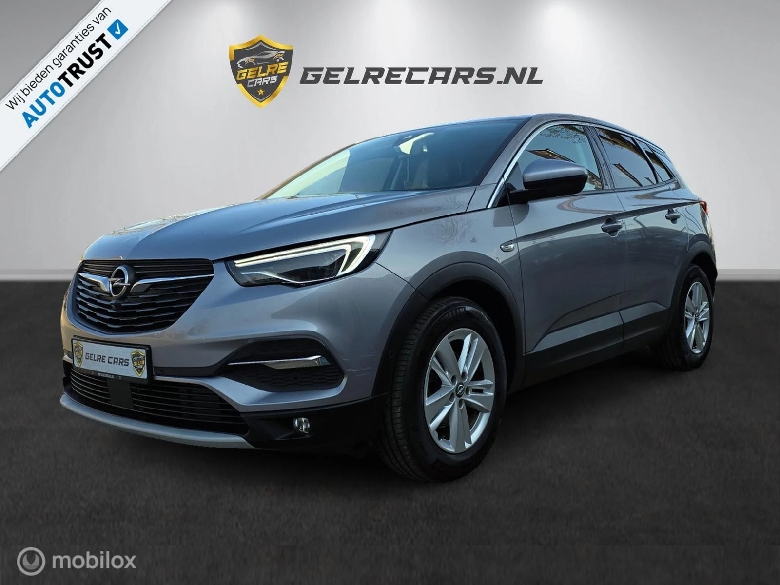 Hoofdafbeelding Opel Grandland X