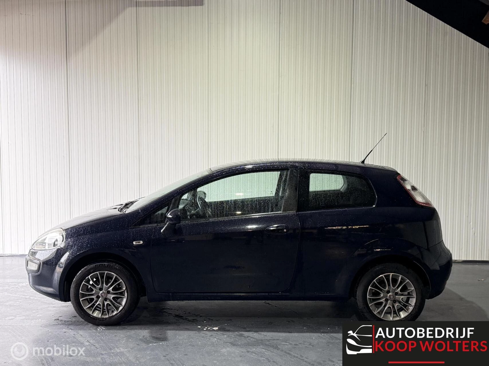 Hoofdafbeelding Fiat Punto