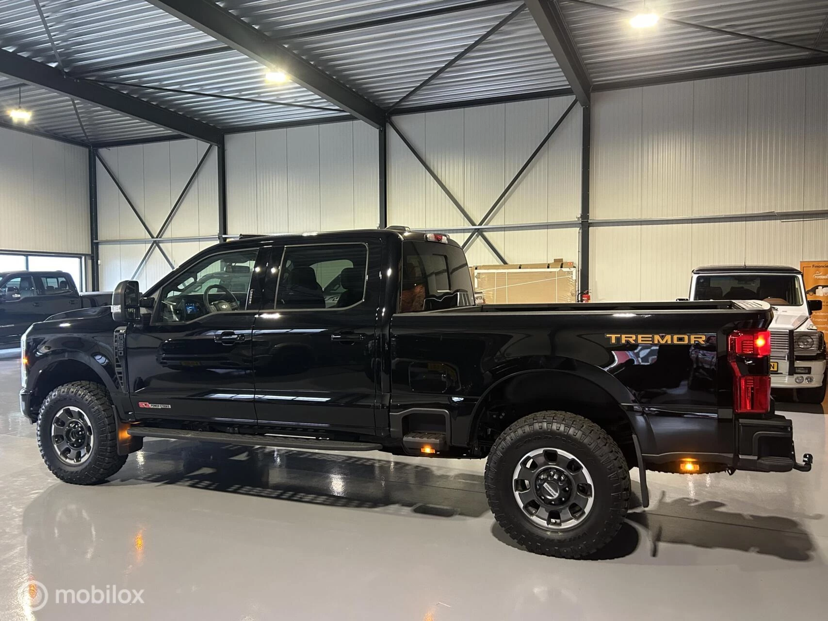 Hoofdafbeelding Ford F-250