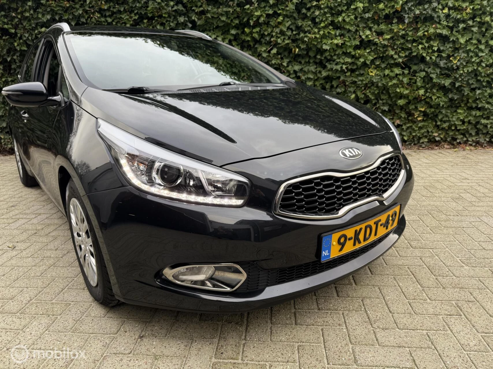 Hoofdafbeelding Kia cee'd