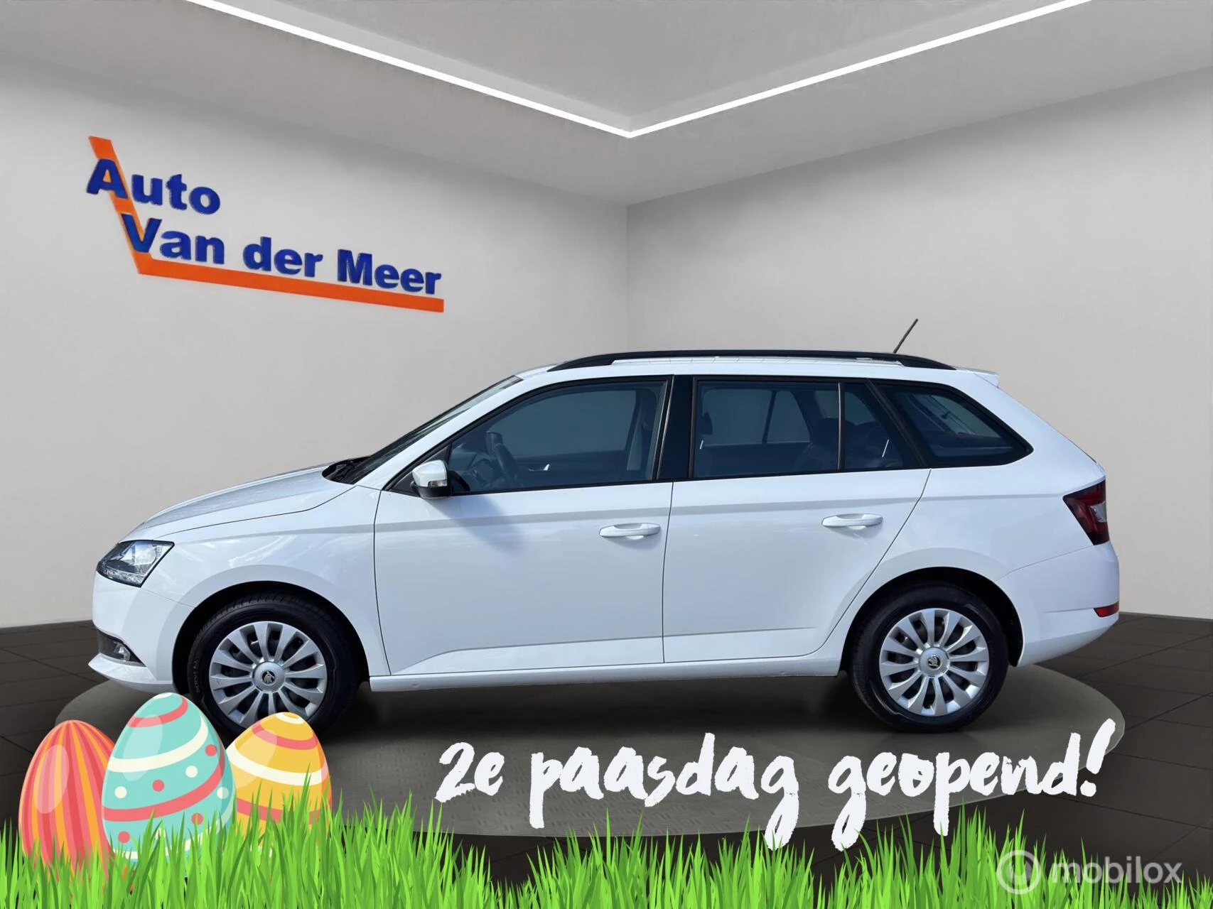 Hoofdafbeelding Škoda Fabia