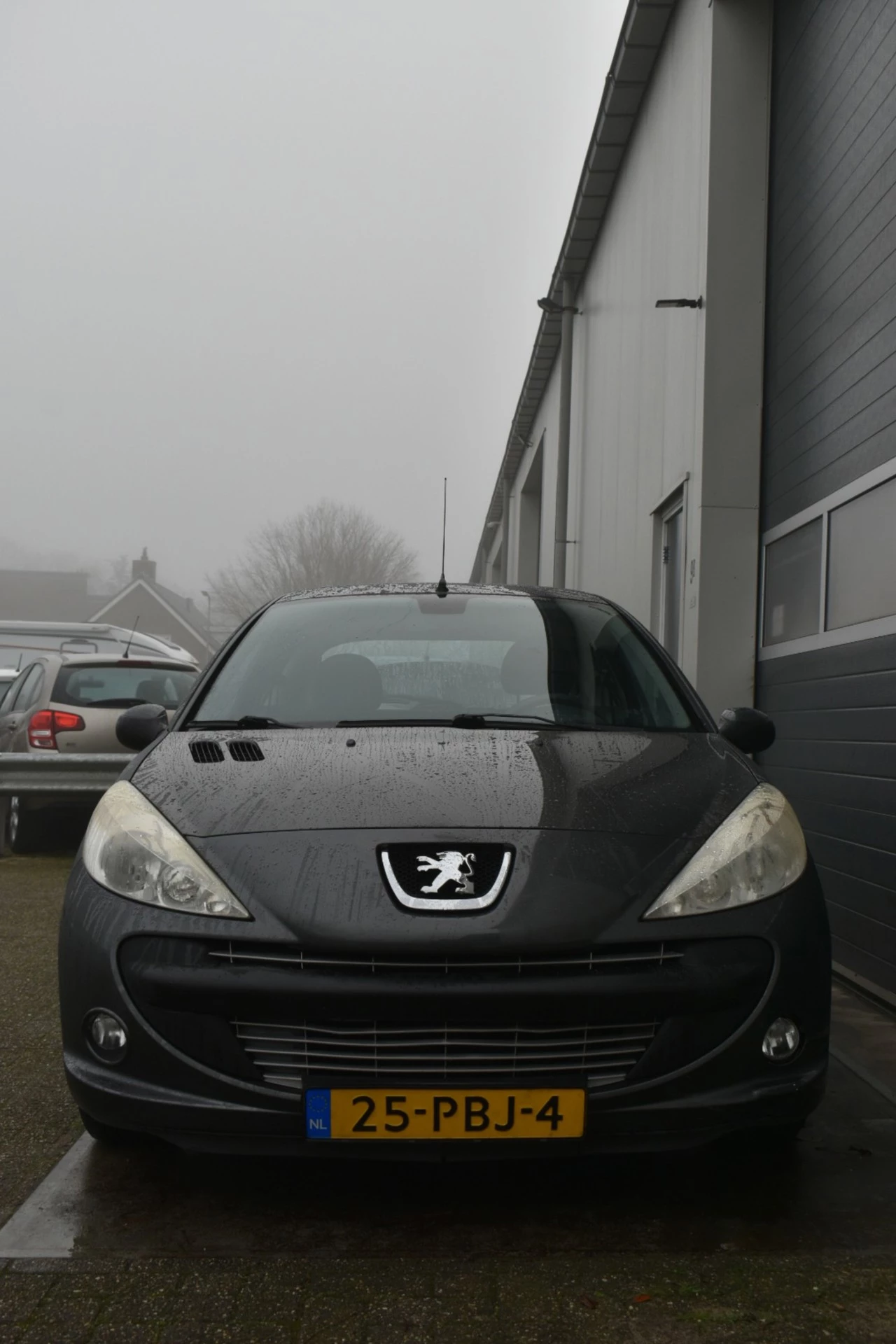 Hoofdafbeelding Peugeot 206