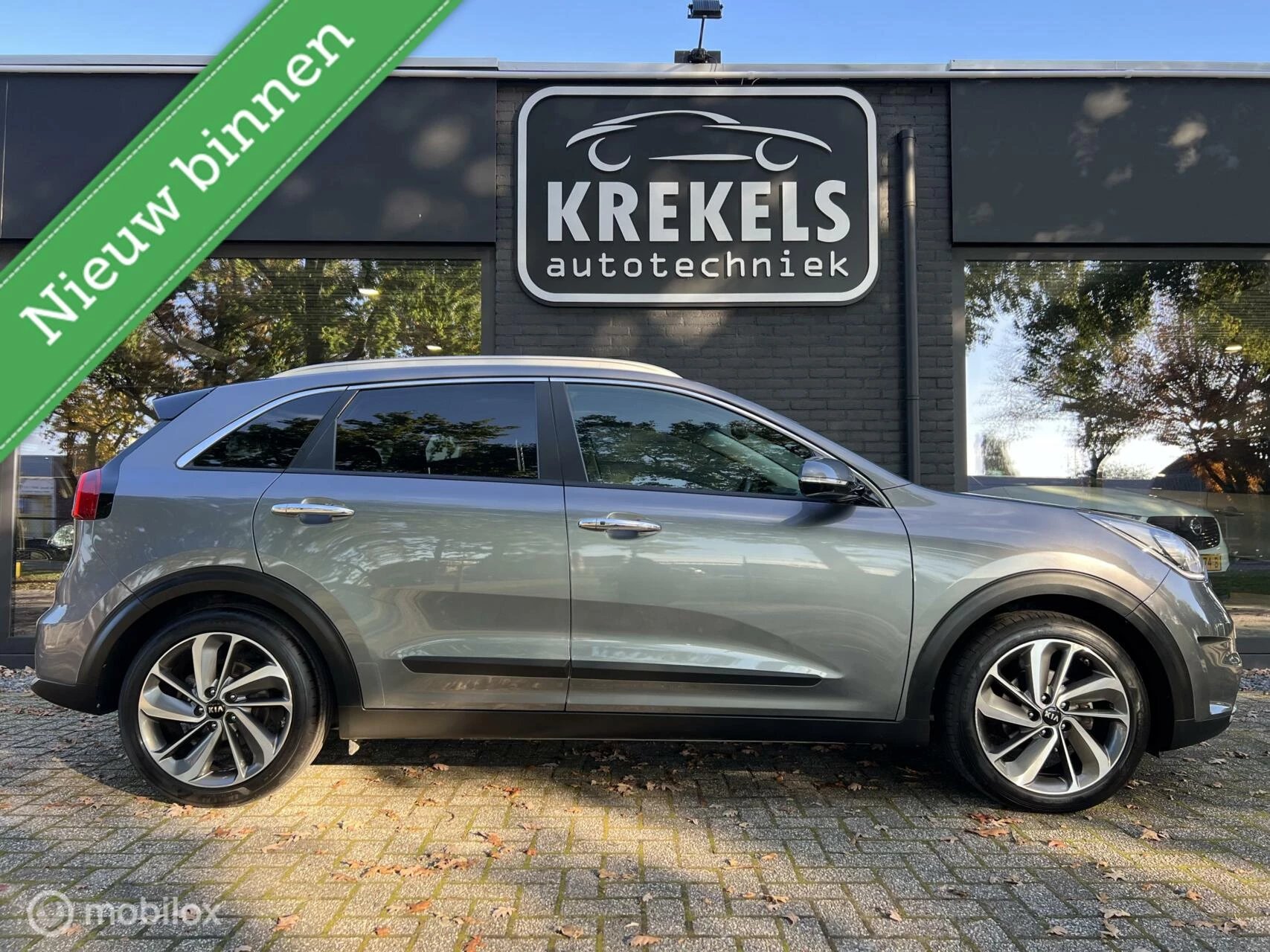 Hoofdafbeelding Kia Niro