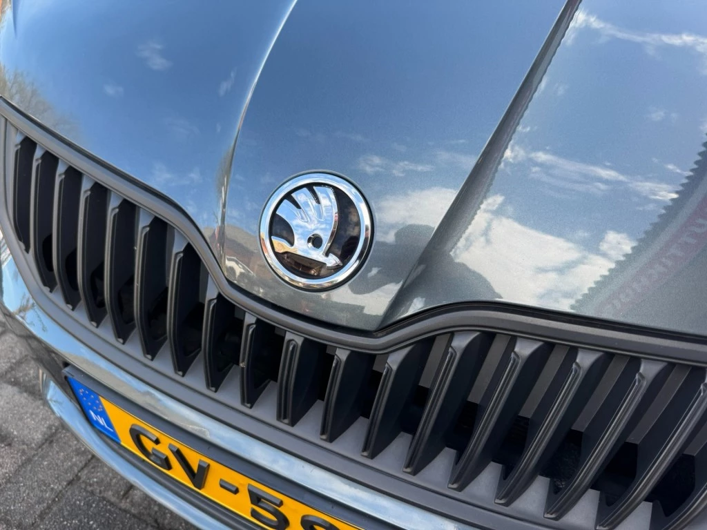 Hoofdafbeelding Škoda Fabia