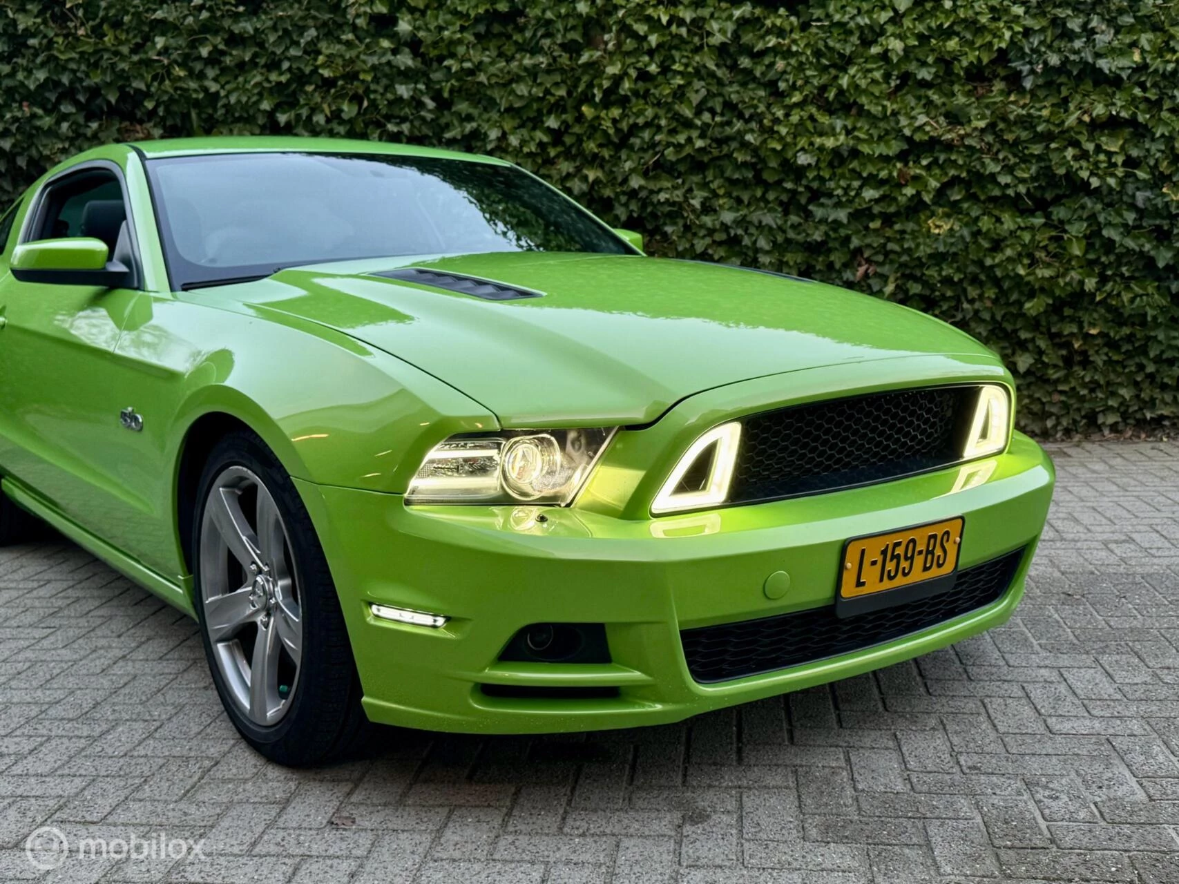 Hoofdafbeelding Ford Mustang