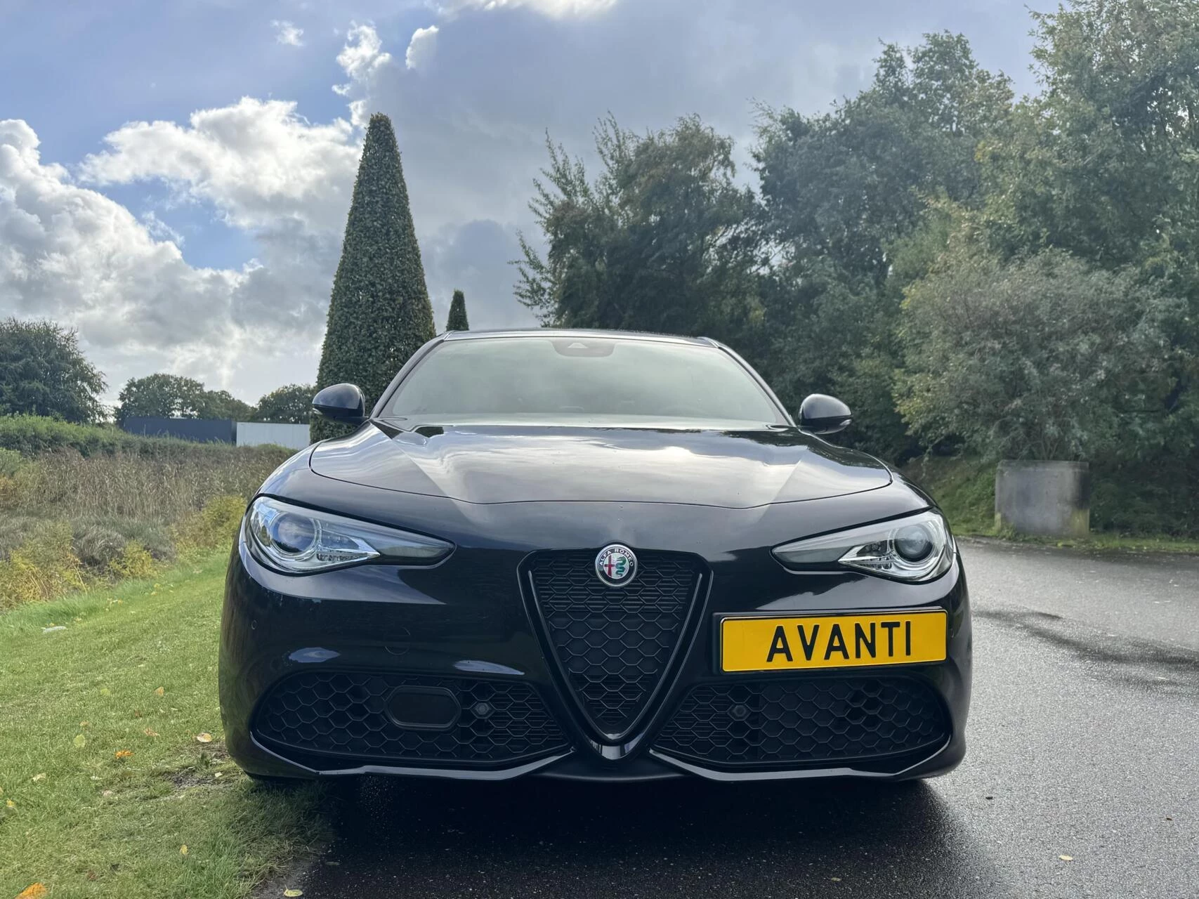 Hoofdafbeelding Alfa Romeo Giulia