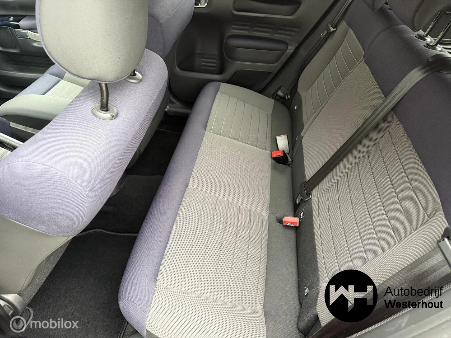 Hoofdafbeelding Citroën C4 Cactus