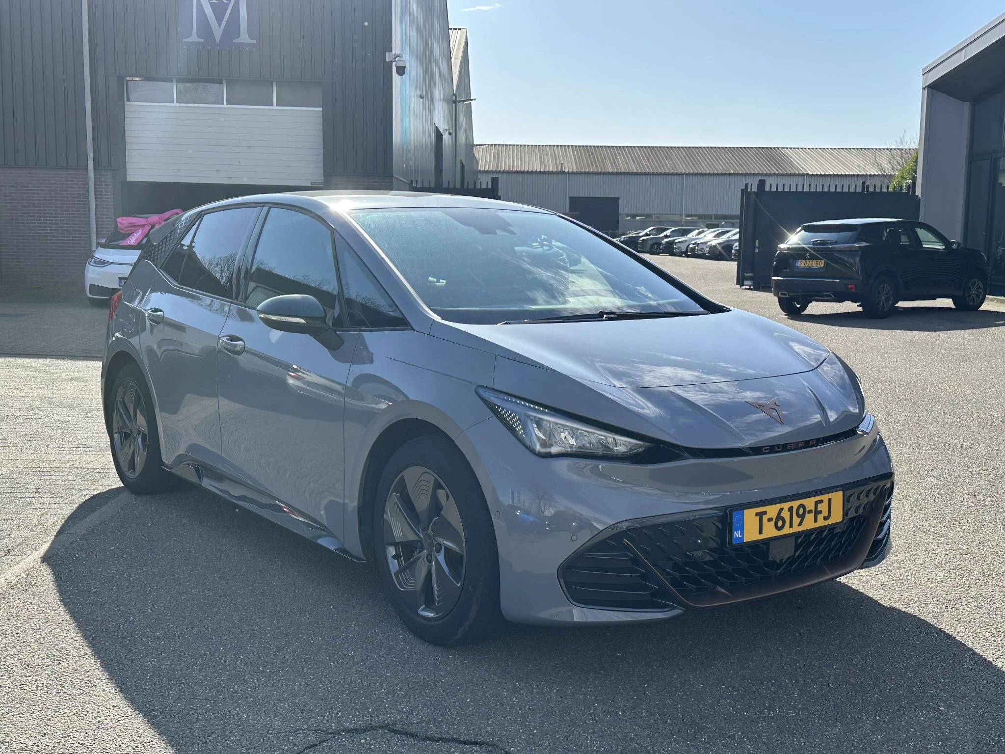 Hoofdafbeelding CUPRA Born