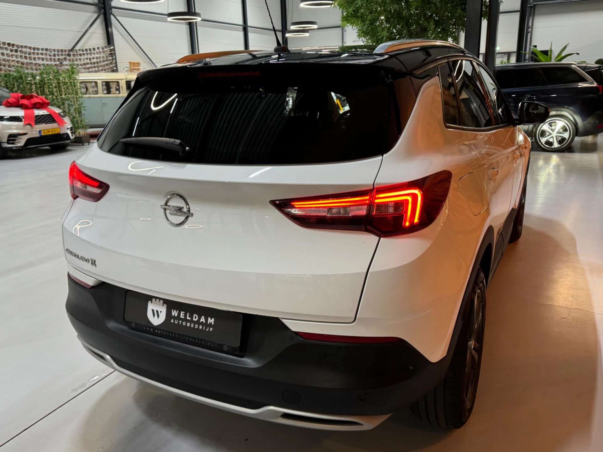 Hoofdafbeelding Opel Grandland X