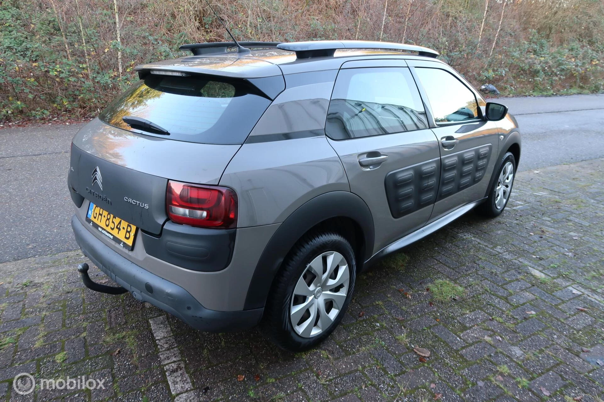 Hoofdafbeelding Citroën C4 Cactus