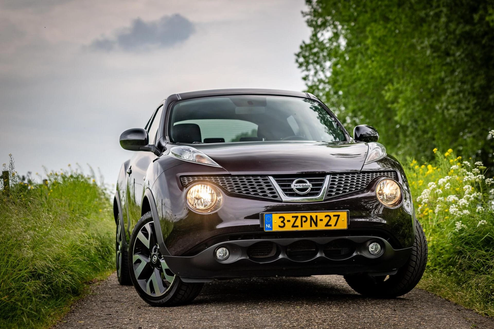 Hoofdafbeelding Nissan Juke