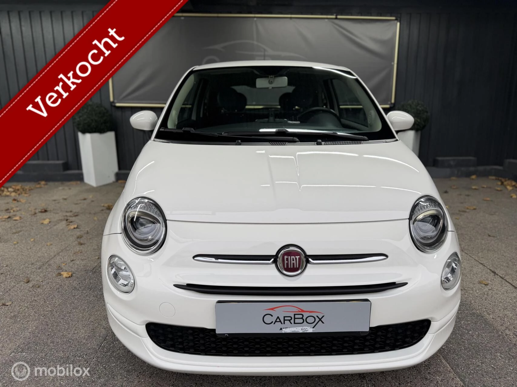 Hoofdafbeelding Fiat 500