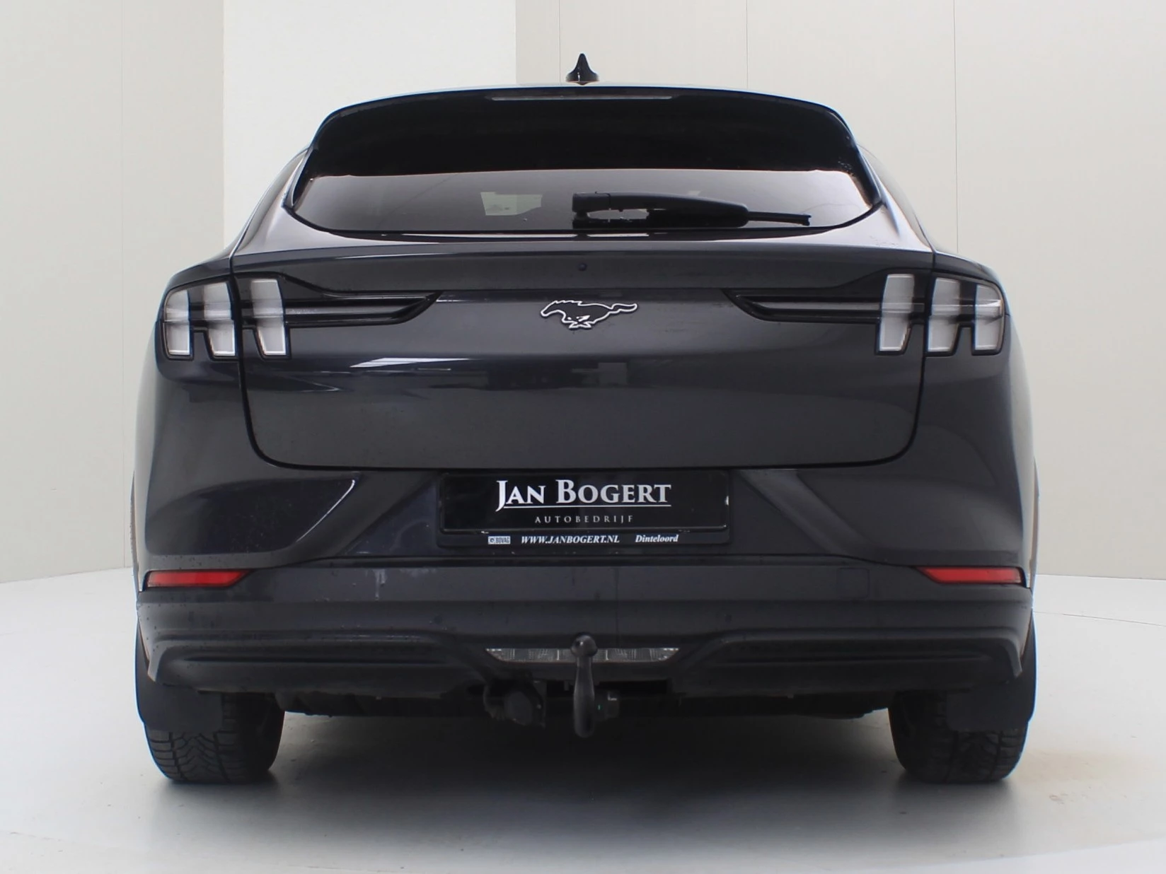 Hoofdafbeelding Ford Mustang Mach-E
